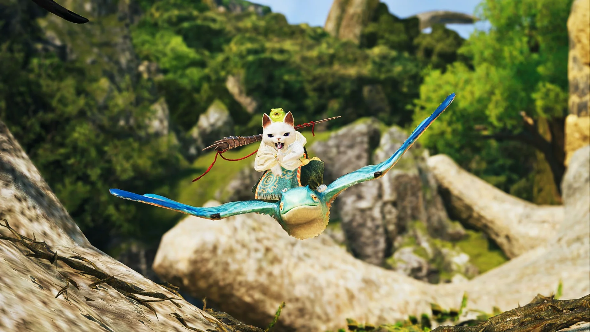 Sage on a Mission