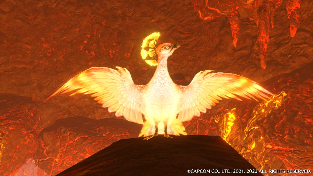 da bird