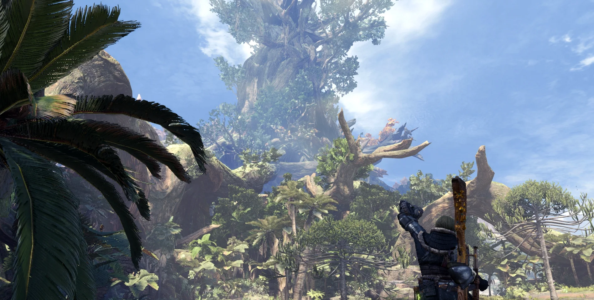 Beauty of Ancient Forest 1
