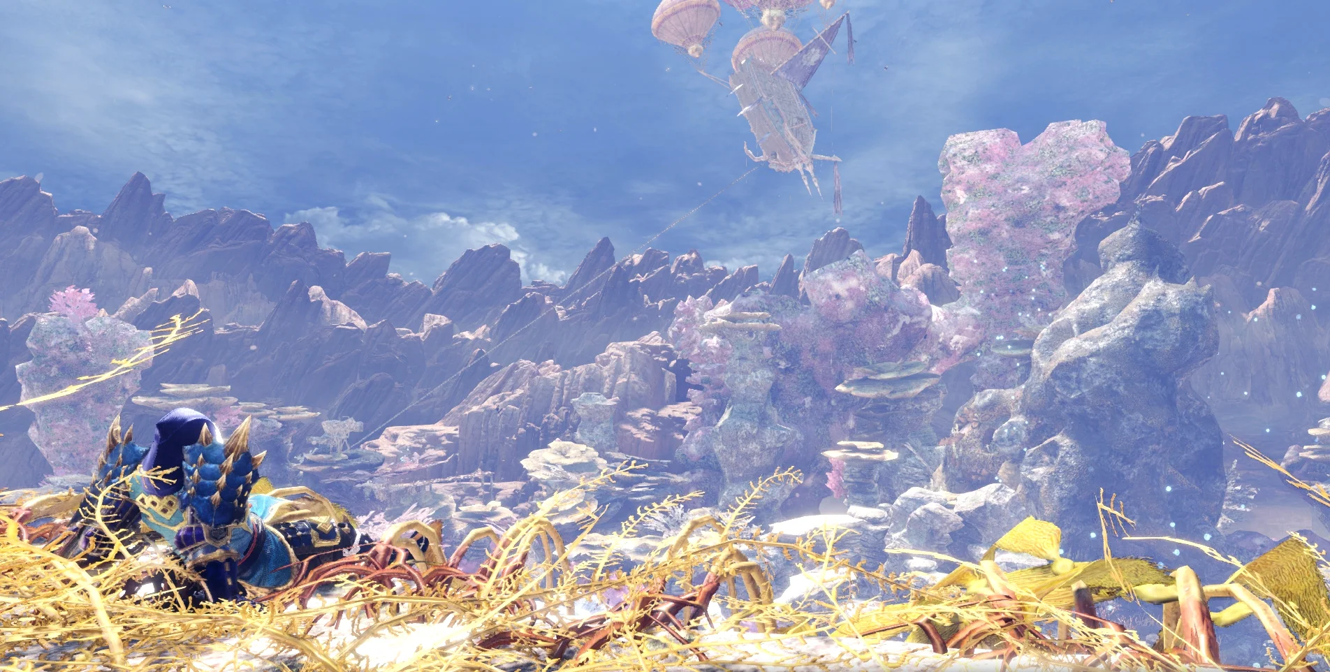 Beauty of Coral Highlands 2
